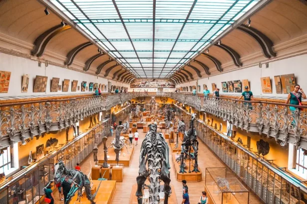 best Museums