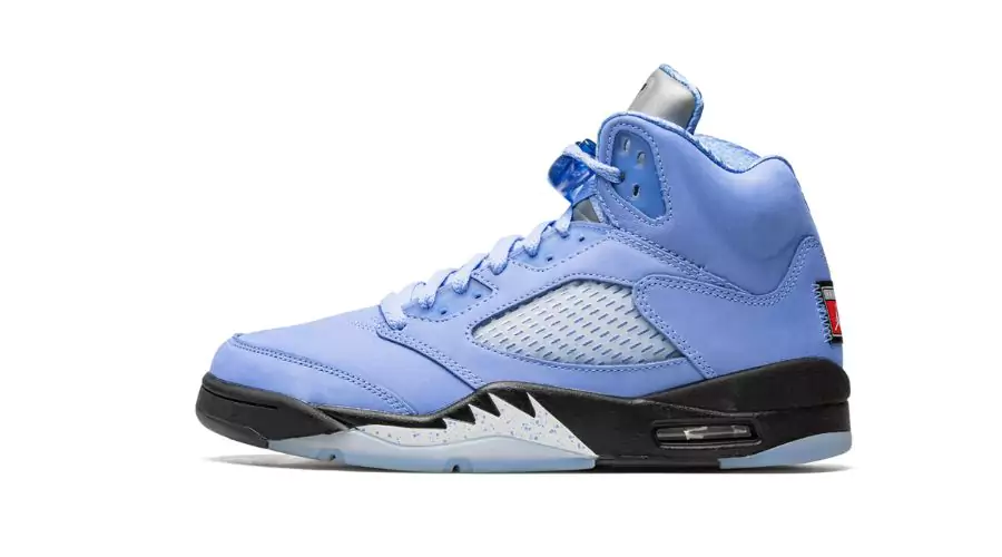 Air Jordan 5 Retro SE