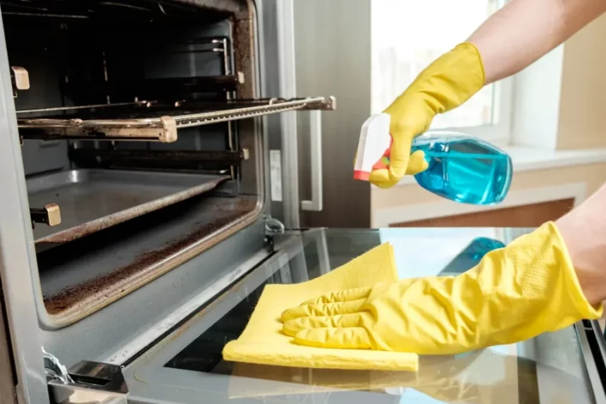 Best Oven Cleaner