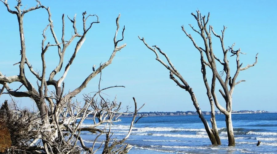 Botany Bay Plantation Heritage Preserve