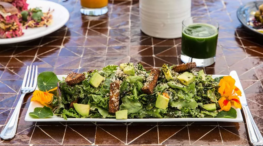 Planta - Elevating Vegan Fine Dining