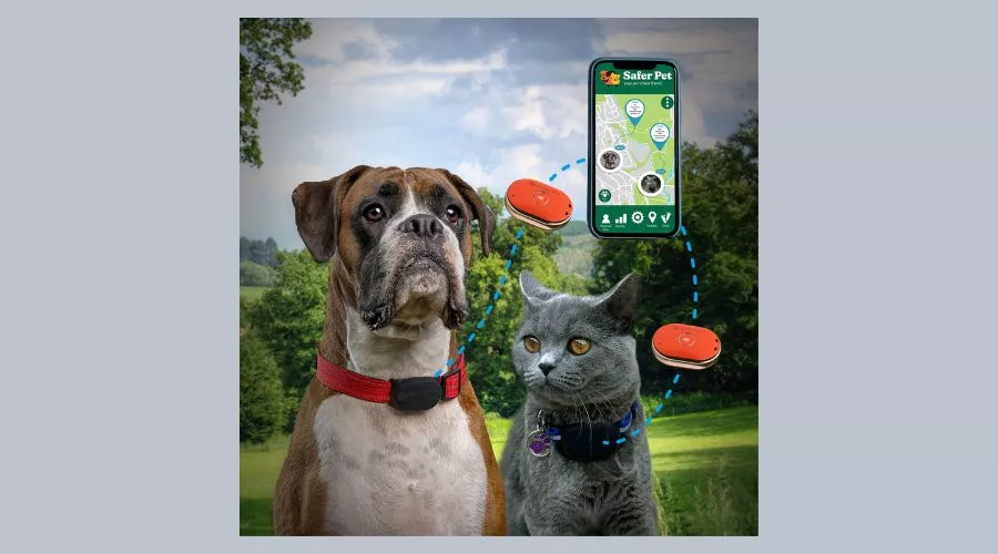 Safer Pet GPS tracker - Cat or Dog - Orange