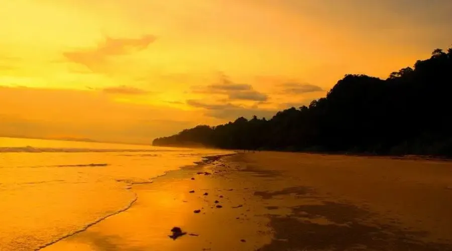 Witness Stunning Sunsets