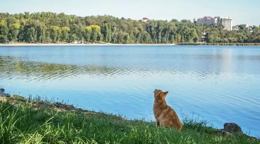 Nature's Beauty in Chisinau