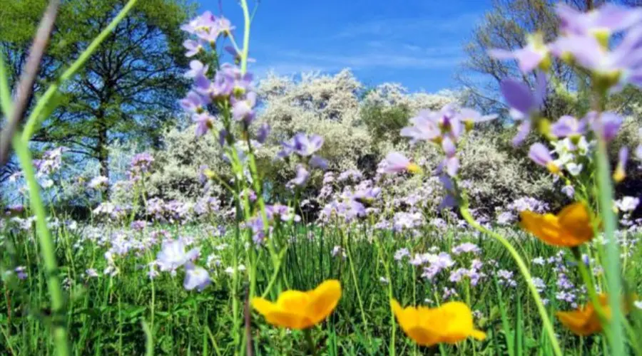 Spring March to May | Nowandlive