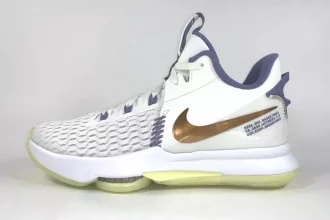 Lebron basketball shoes