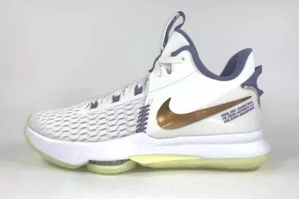 Lebron basketball shoes