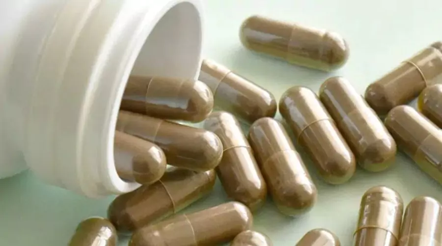 Potential Mushroom Supplements Benefits