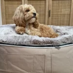 Luxury Dog Beds