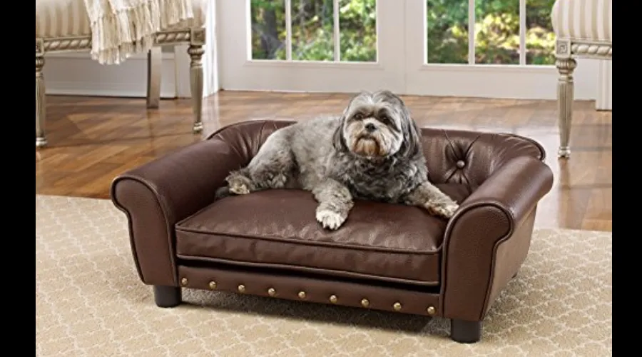 Luxury Saatva Dog Beds