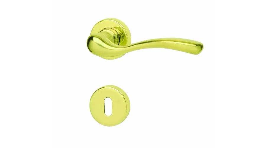 Handle on rosette with GHIDINI Victoria escutcheon in polished gold brass