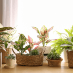Pot covers for plants