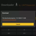 Downloader on firestick