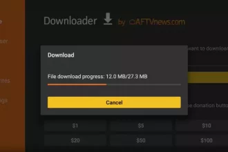 Downloader on firestick