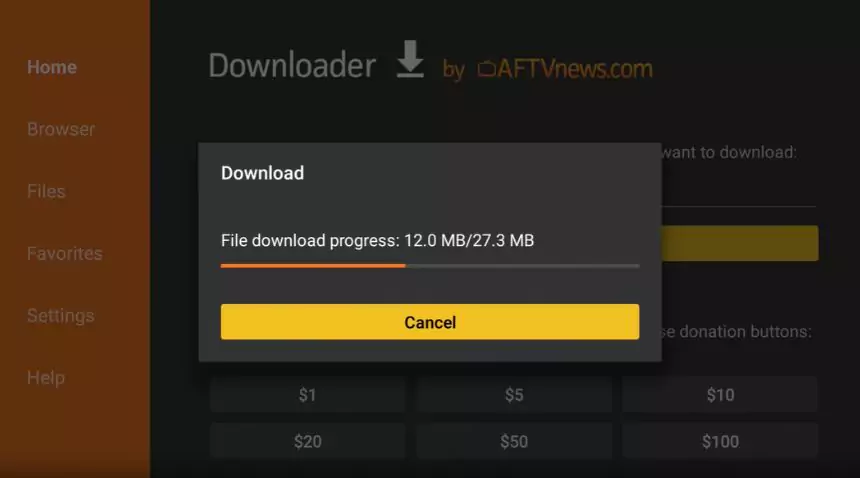 Downloader on firestick