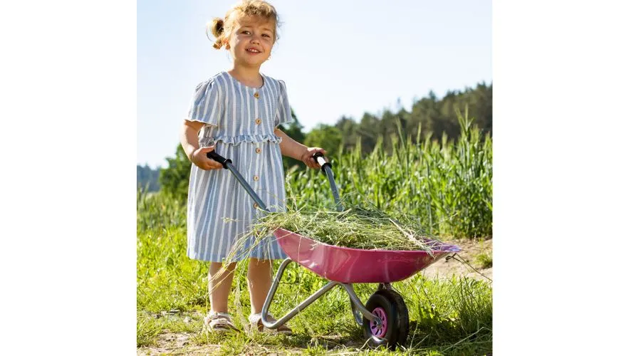 Children's Pink Wheelbarrow - Pink by Rolly
