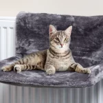 Heated Cat Bed
