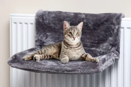 Heated Cat Bed