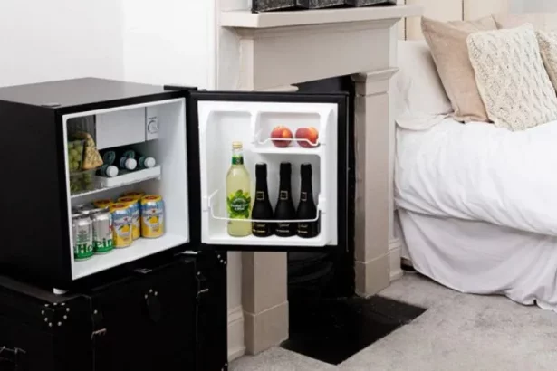 Mini Fridge For Bedroom