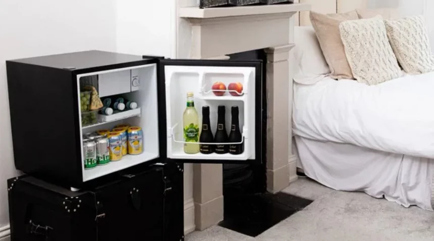 Mini Fridge For Bedroom
