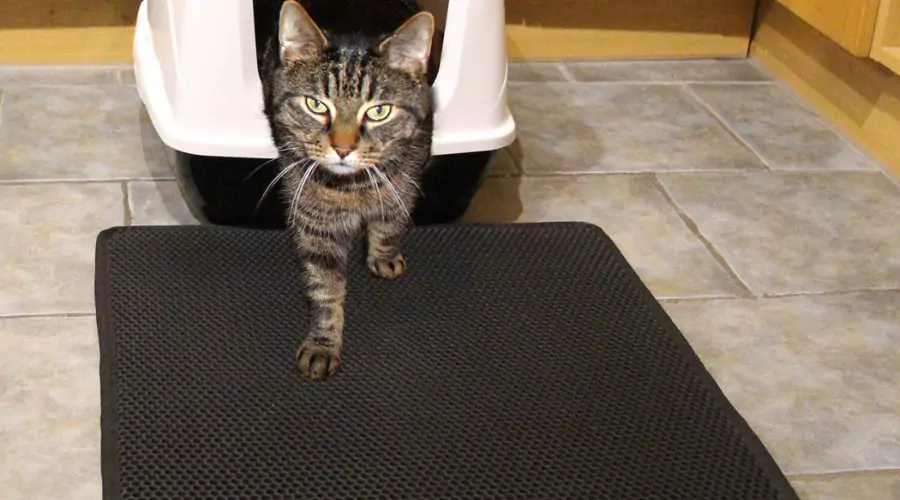 Cat Litter Tray