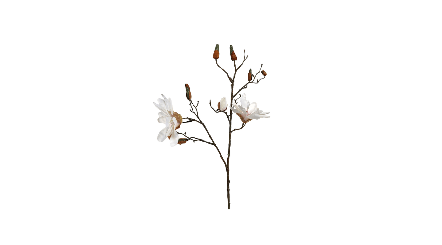 Magnolia Stem in white