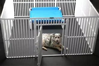 Large dog crate