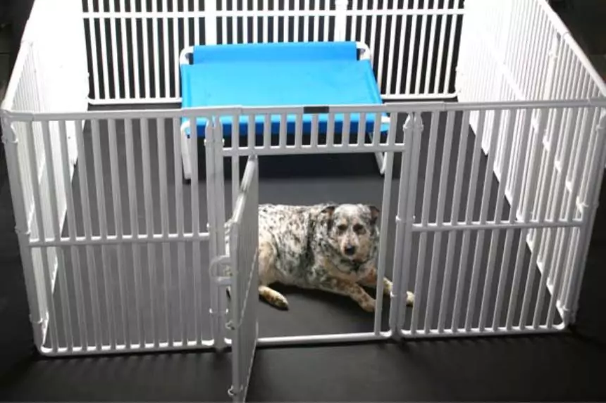 Large dog crate