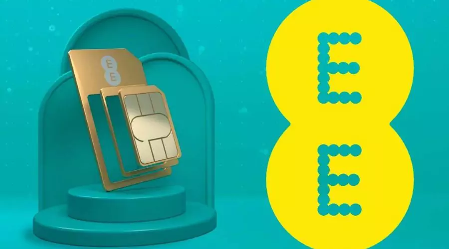 Why EE? Exploring thе Advantagеs