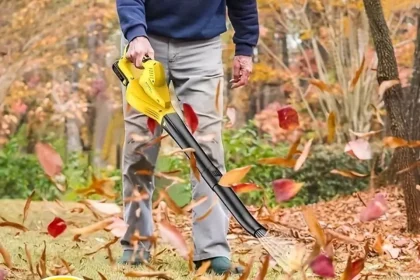 Cordless Electric Leaf Blower