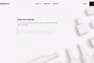 squarespace domain search | Nowandlive