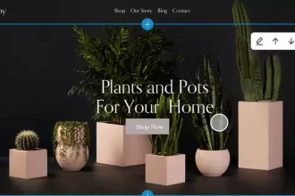Squarespace website templates