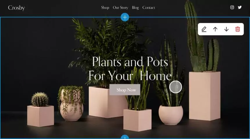 Squarespace website templates