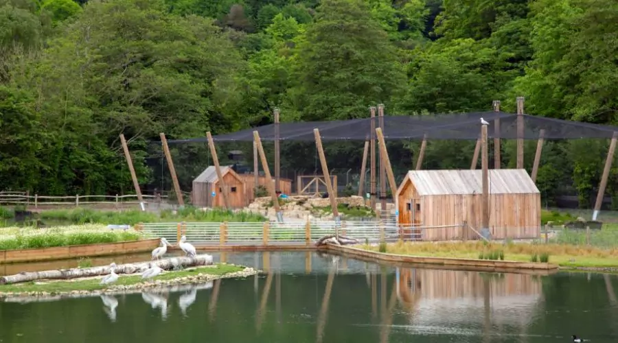 Things to do in Sussex: Family Day Out Spots