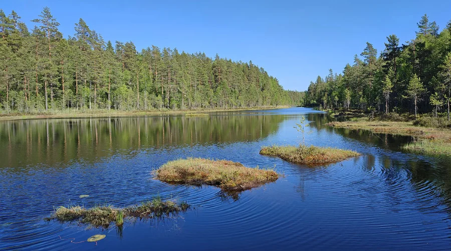 Nuuksio National Park