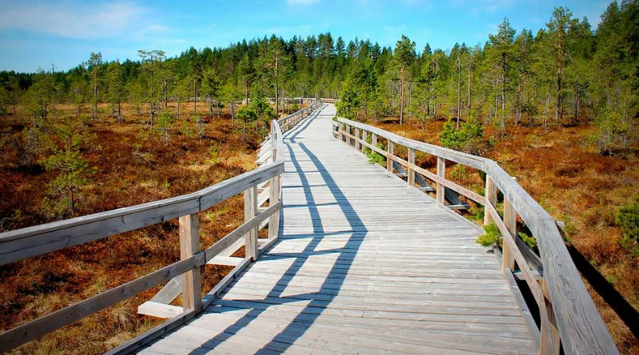 Seitseminen National Park