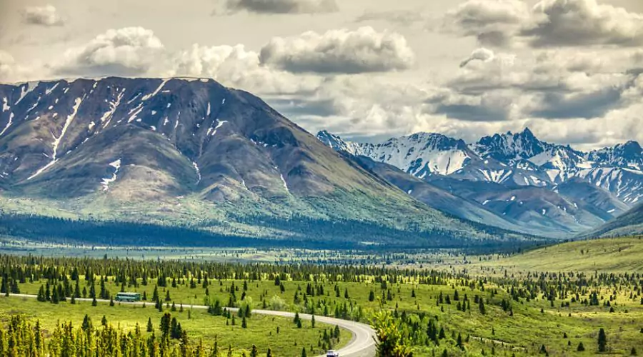 Denali National Park