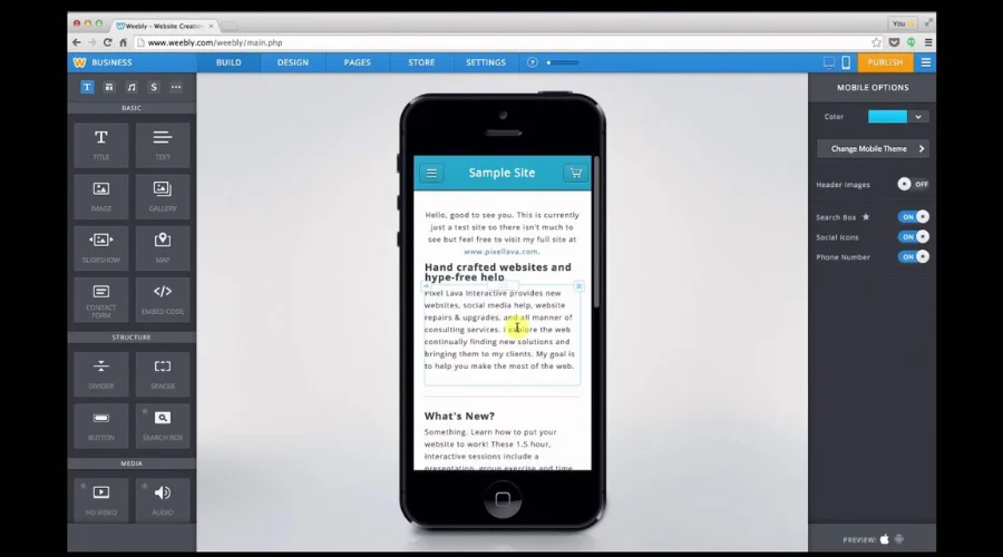 Mobile Responsiveness