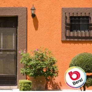Berel Berelex Acrylic Vinyl IndoorOutdoor Paint (3)