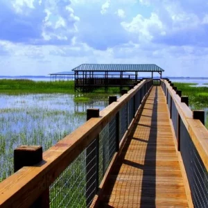Central Florida Everglades Airboat Tour from Orlando (1)