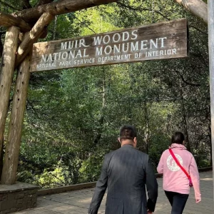 From San Francisco Guided Tour to Muir Woods Coastal Redwoods