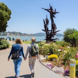 Muir Woods and Sausalito (Return by Bus or Ferry) (1)