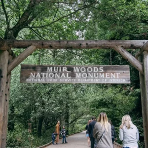 San Francisco Super Saver Muir Woods & Wine Country w optional Gourmet Lunch