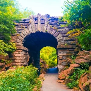 Uncover New York's Best Kept Secrets (3)