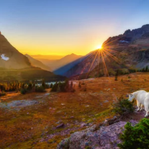 gallery-18-68c8f563539a4