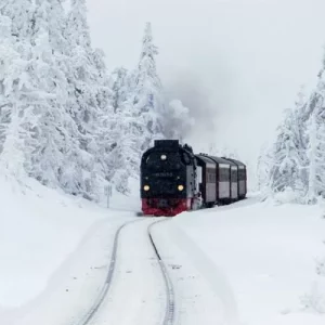 5-6928505c65f26
