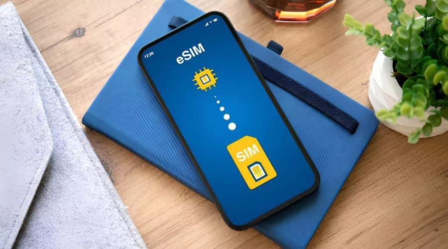 Regional Business eSIM Plans (Best Value for Multi-Country Trips)