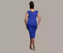 plus size occasion dresses | Nowandlive