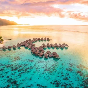 Dive into Crystal Clear Pacific Waters