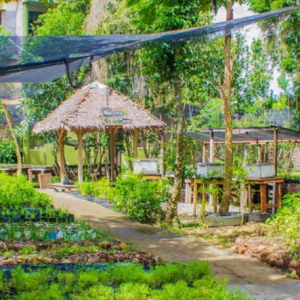 Eco-Friendly Retreats and Farms (1)